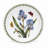 Portmeirion Botanic Garden Plate Salad 8.5"
