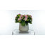 Arrangement Kalanchoe dans un pot en fibre de pierre-30579682