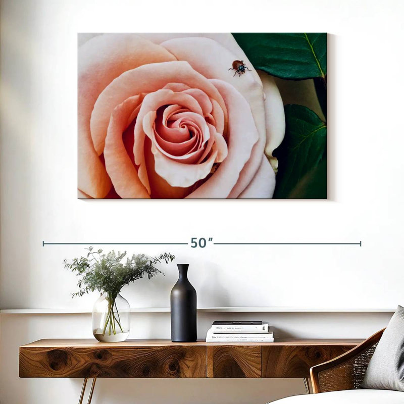 Coccinelle Brampt sur une rose II, H 26 po x l 39 po