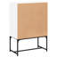 Aanvi Steel Rectangle Accent Cabinet-1763828316
