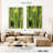 Harnek Cactus Overlay-108442667