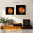 Oberle Venus Close Up-109235548