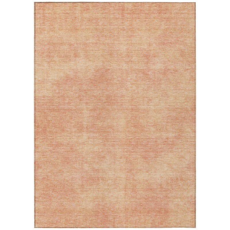 Tapis intérieur / extérieur lavable pêche 9 pi x 12 pi HomeRoots