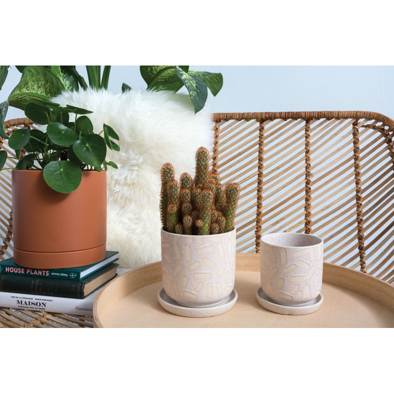 Catarine Ceramic Pot Planter, White