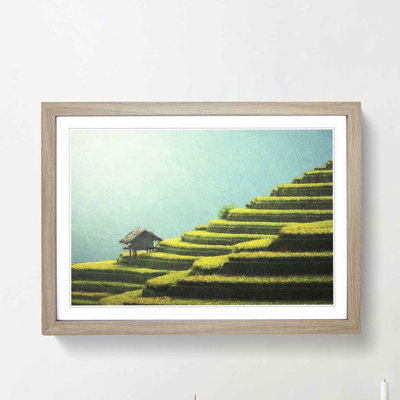 Rice Plantation in Cambodia - Picture Frame Painting Print