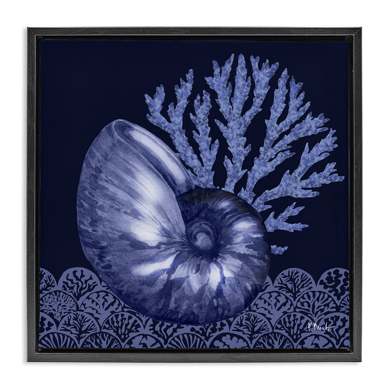  «Shadow Nautilus Shell Floater» par Paul Brent, Cadre flottant noir de jais, H 18 po x l 18 po