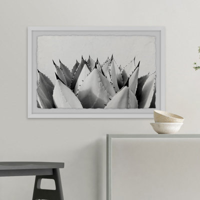 « doux plantes grasses ii », reproduction encadrée