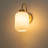 1-Light Oval Glass Armed Wall Sconce