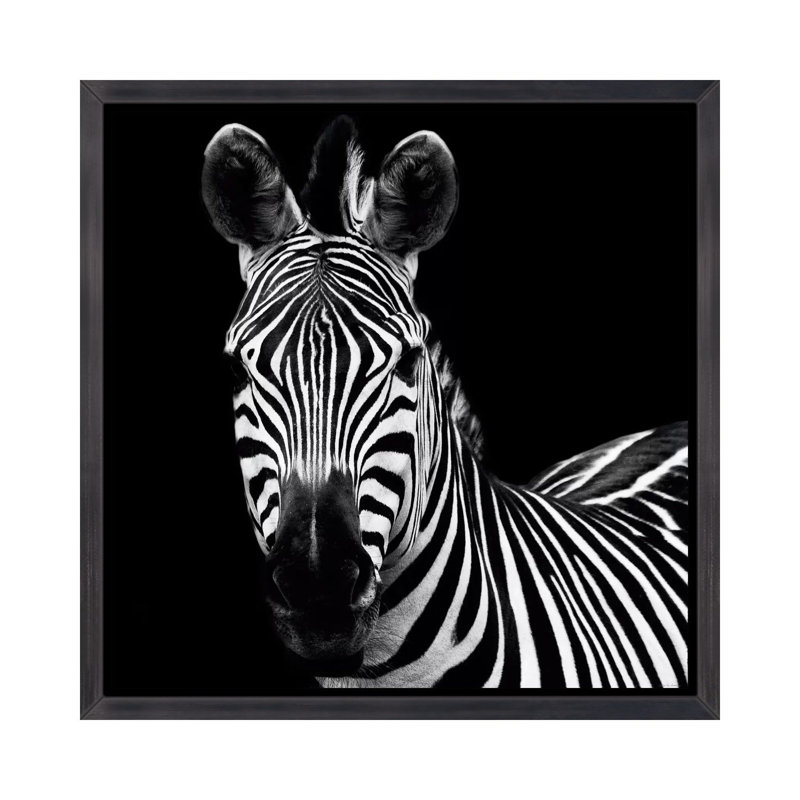 Zèbre II par Debra Van Swearingen - reproduction de photo, H 18 po x l 18 po x 1,5 po, Toile avec cadre noir patiné