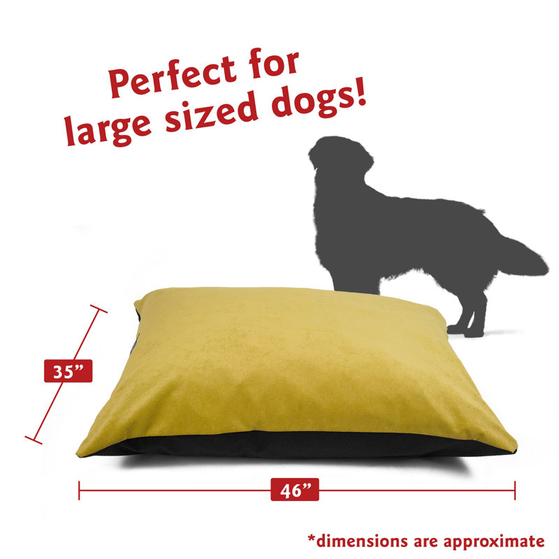 Coussin pour chien Villa Majestic, Jaune, Grand (l 46 po x P 35 po x H 4 po)