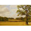 Bucolic Print by Kate Woodman-1618023799