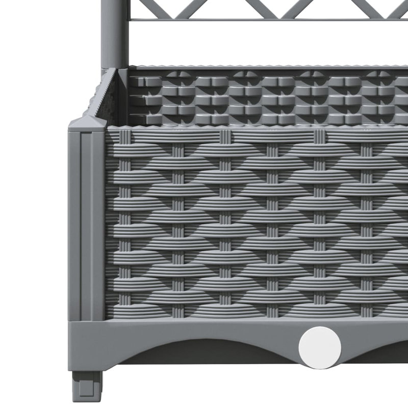 Aunah Raised Garden Bed with Trellis