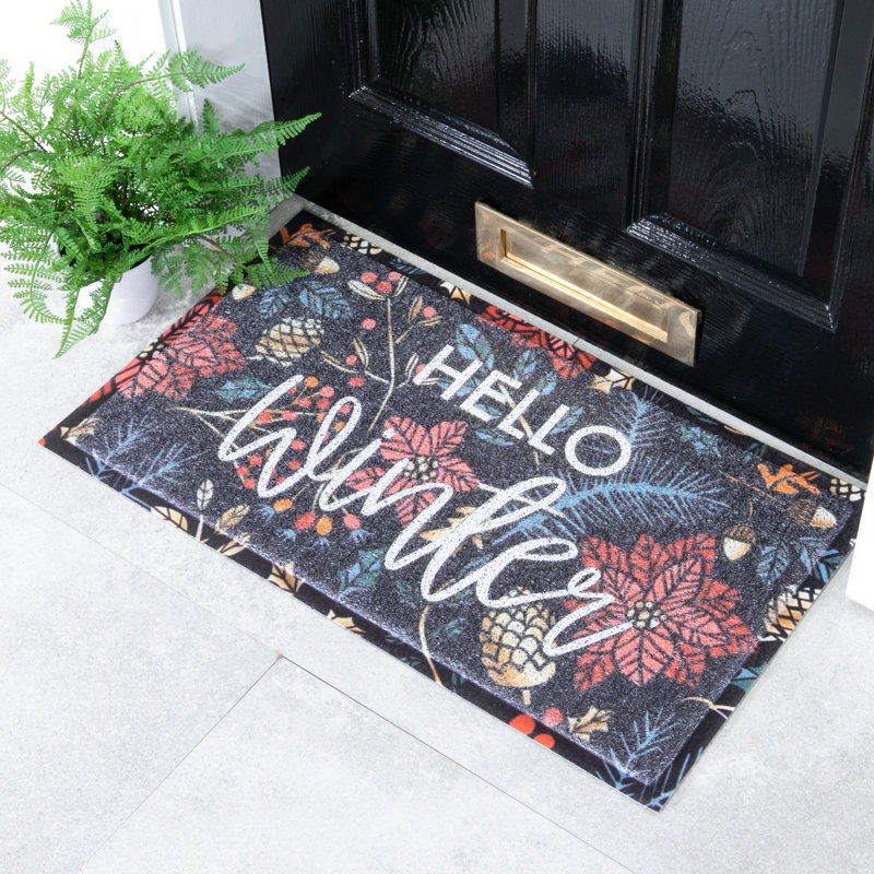 Lorine Non-Slip Indoor Doormat