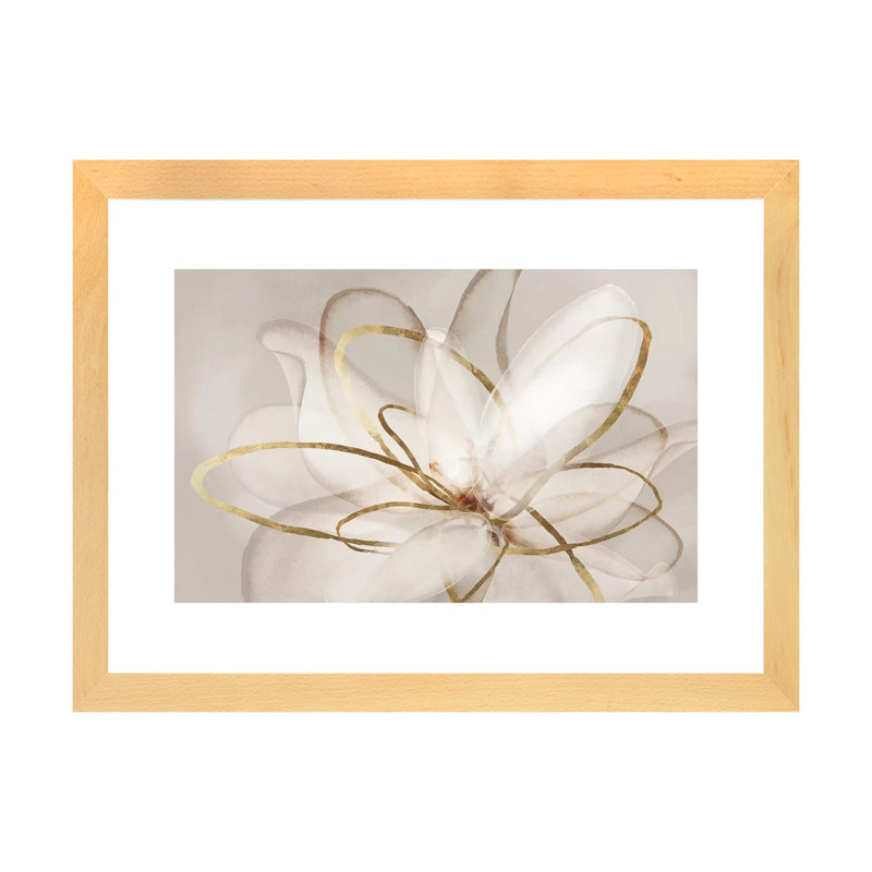 Transparent Transparent III '- imprimé, Papier dans un cadre photo, H 24 po x l 32 po x P 1 po, Natural Wood