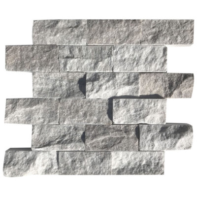 SAMPLE-Paragon Split Face 2×4 Mosaic