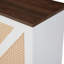 Cabinet décoratif-1717055573