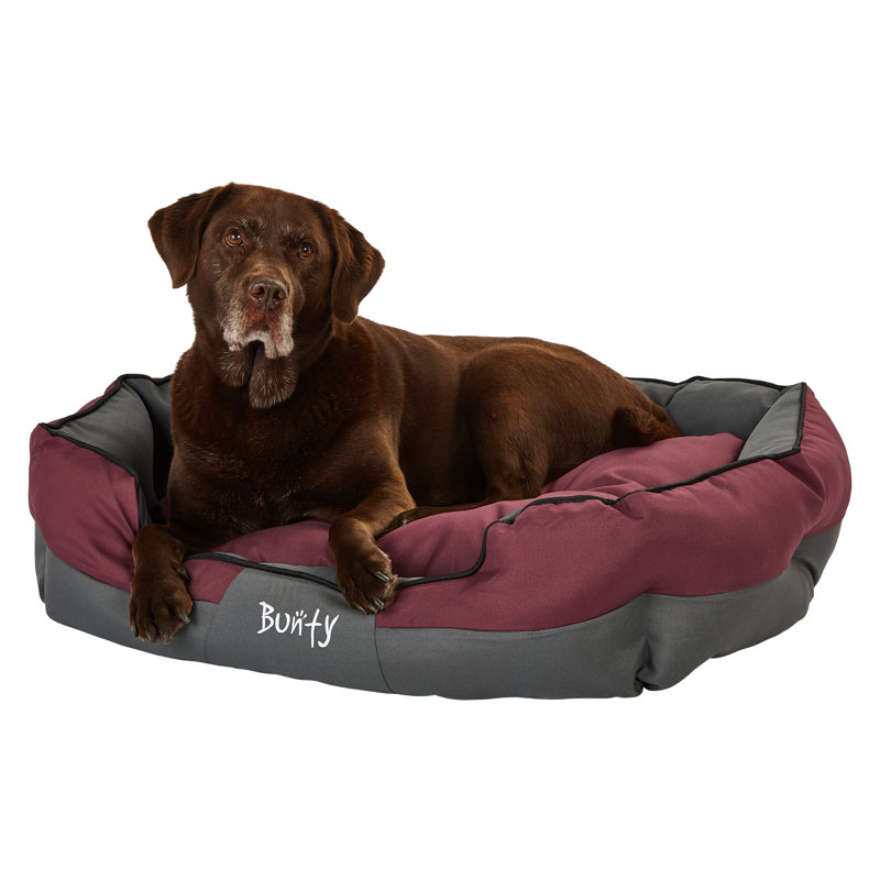 Levesque Polyester Pet Bed, 25cm H x 90cm W x 70cm D, Red