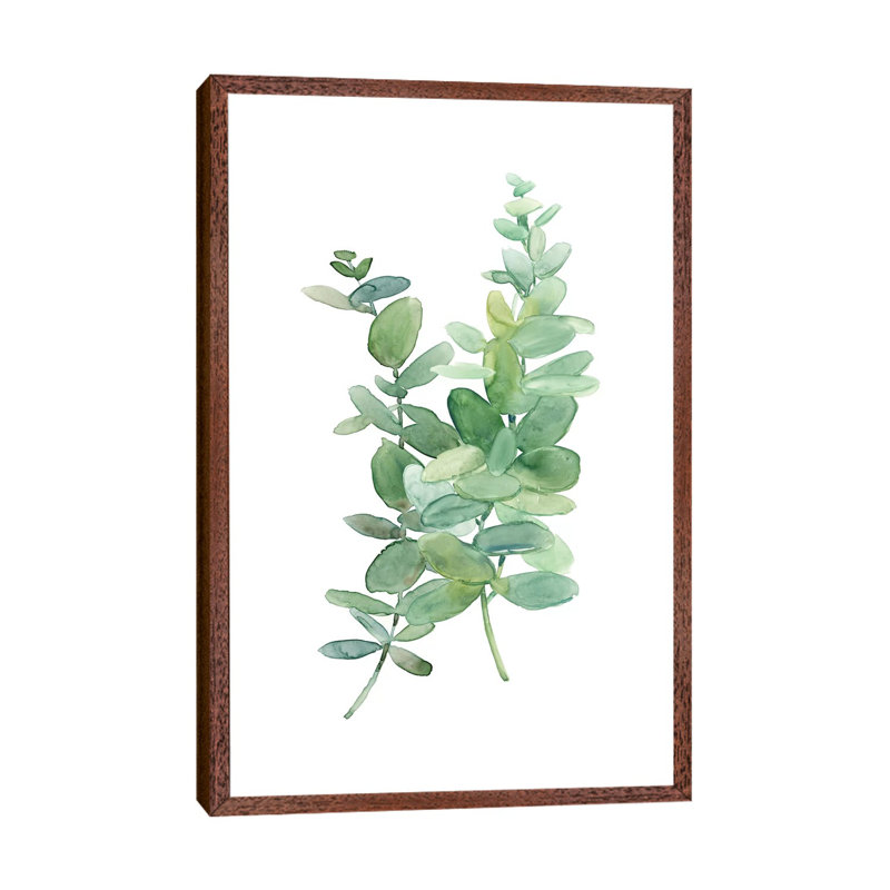 Eucolyptus I by Carol Robinson - Painting on Canvas, 101.6 cm H x 66.04 cm W, Classic Brown Wood Framed