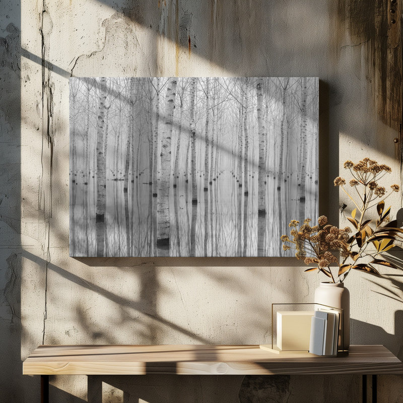 Wrapped Canvas Print, 50.8 cm H x 76.2 cm W