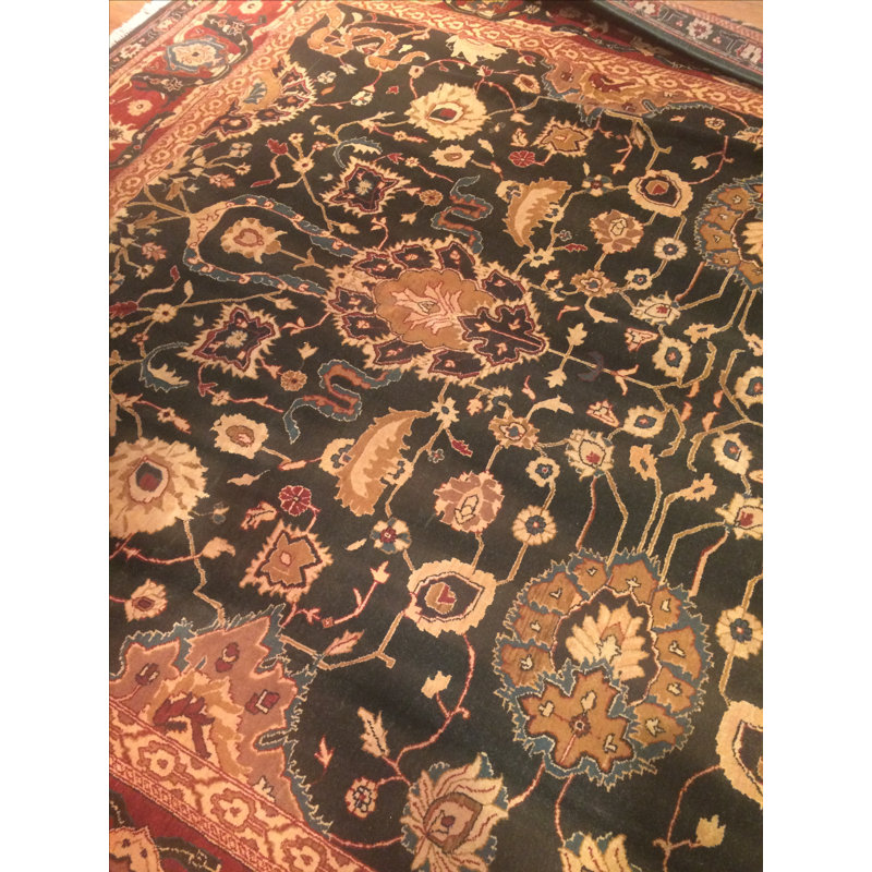 Agra Wool Oriental Area Rug in Red/Black