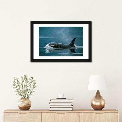 " Orca, Johnstone Strait, British Colombia, Canada " by Hiroya Minakuchi