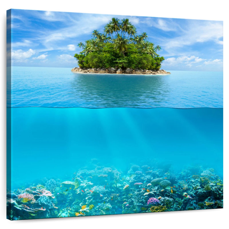 Aletra Underwater Coral Reef
