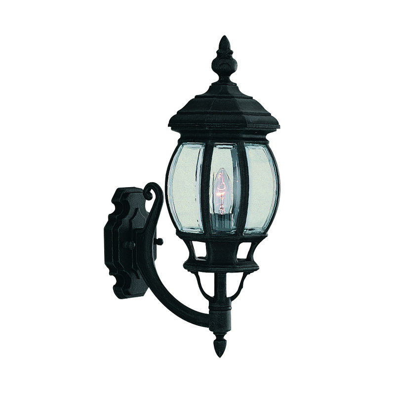 Alyson 46cm H Outdoor Wall Lantern