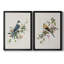 «Spring Song Grey Jay», ensemble de 2 reproductions sur toiles encadrées-61455532-61455536
