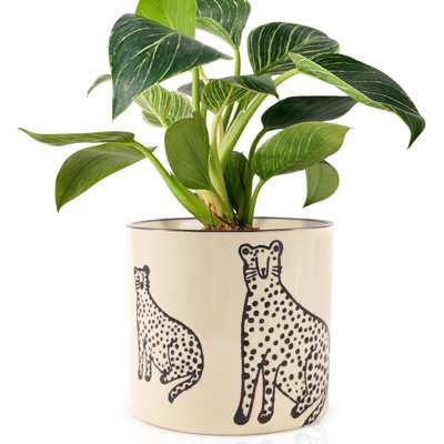 5-inch Ceramic Planter With Drainage