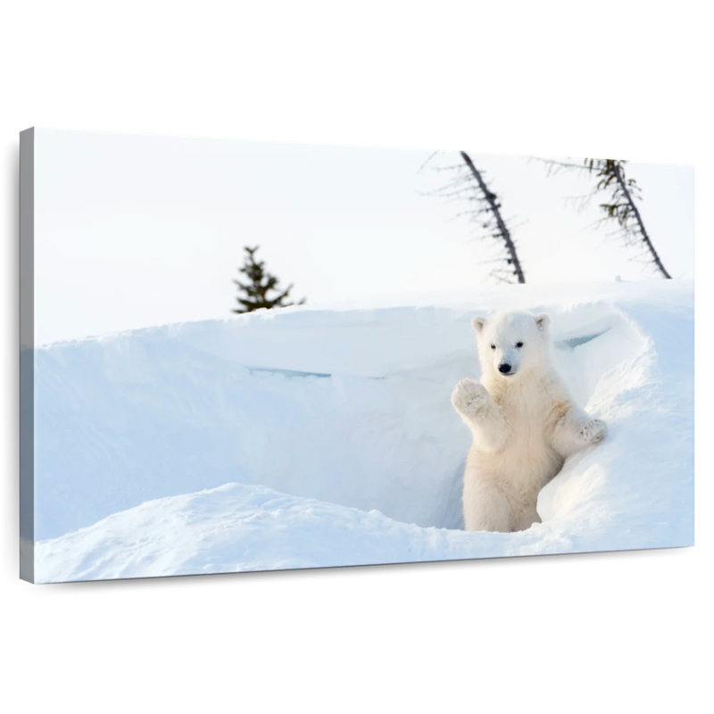 Brampt Polar Bear Cub Greeting, 8" H x 12" W