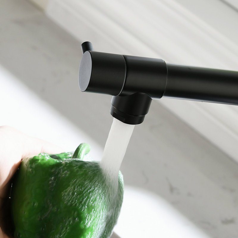 Robinet de cuisine avec douchette extractible noir et nickel, robinet d'évier de cuisine à poignée simple, Noir