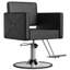 Fauteuils de coiffeur pour coiffeur, noir-370897465