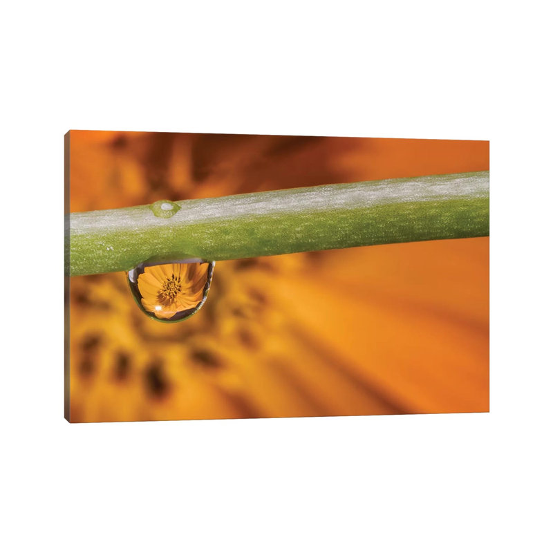Water Drops On A Leaf - Wrapped Canvas Print, 20.32cm H x 30.48cm W x 1.905cm D