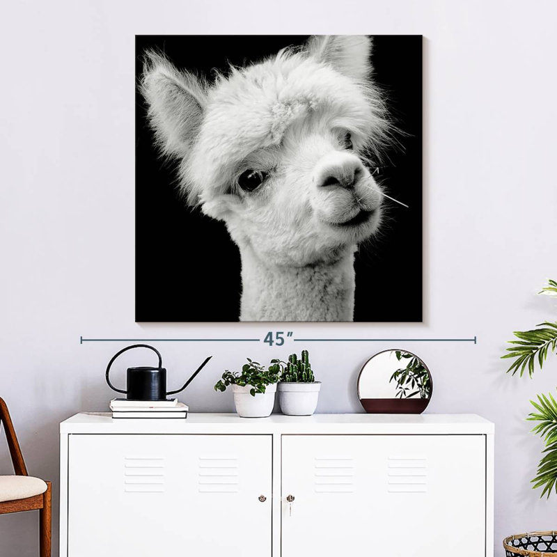 Crowle Monochrome Alpaca Head