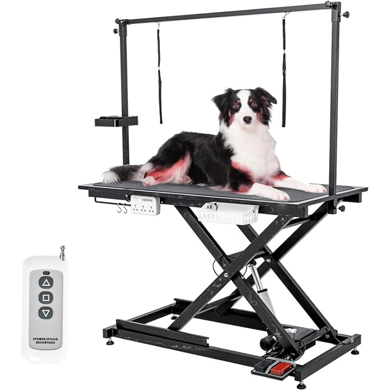 Table de toilettage électrique réglable en métal l 50 po x P 26 po