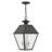 Fraida Bulb Outdoor Hanging Lantern-22670234