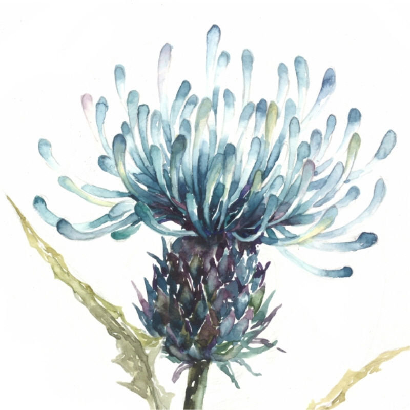 Natural Plantation V Print by Beverly Fuller, 20" H x 20" W x 1.5" D, Outdoor