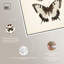 Décoration murale papillon empilable sur toile par Art Remedy, cadre blanc, 20 x 30-623696679-623696682