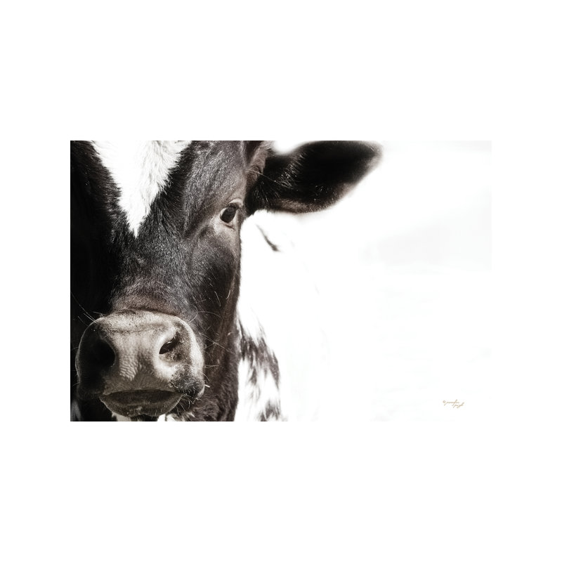 Cow VII by Jennifer Pugh - Wrapped Canvas Print, 66.04 cm H x 45.72 cm W x 1.91 cm D