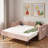 Upholstered Daybed With Trundle, Usb Port And Side Pockets-1062201153
