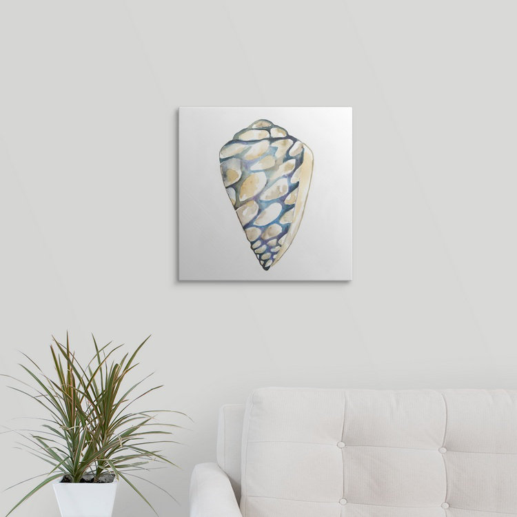 «Aquarelle Shells III» par Chariklia Zarris, reproduction d'art, H 35 po x l 35 po x P 1,5 po, Toile