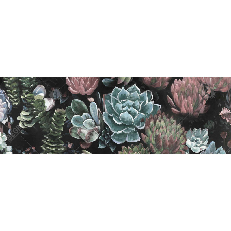 «Succulent Set» sur toile