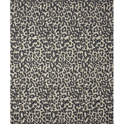 Piracy Fabric