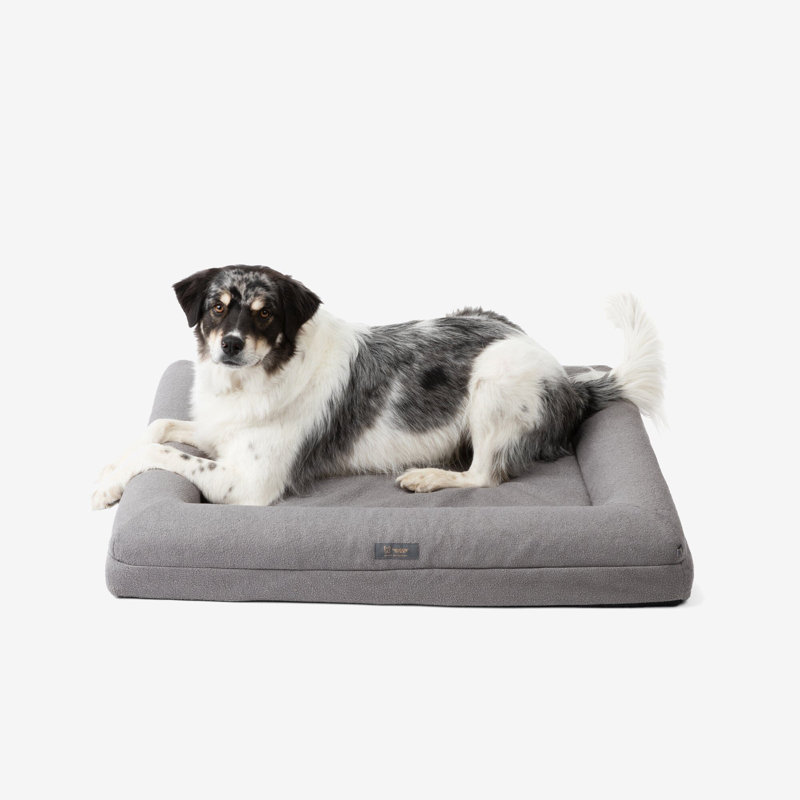 Lit orthopédique à mémoire de forme pour chien - , Gris, Grand (l 45 po x P 34 po x H 6 po)