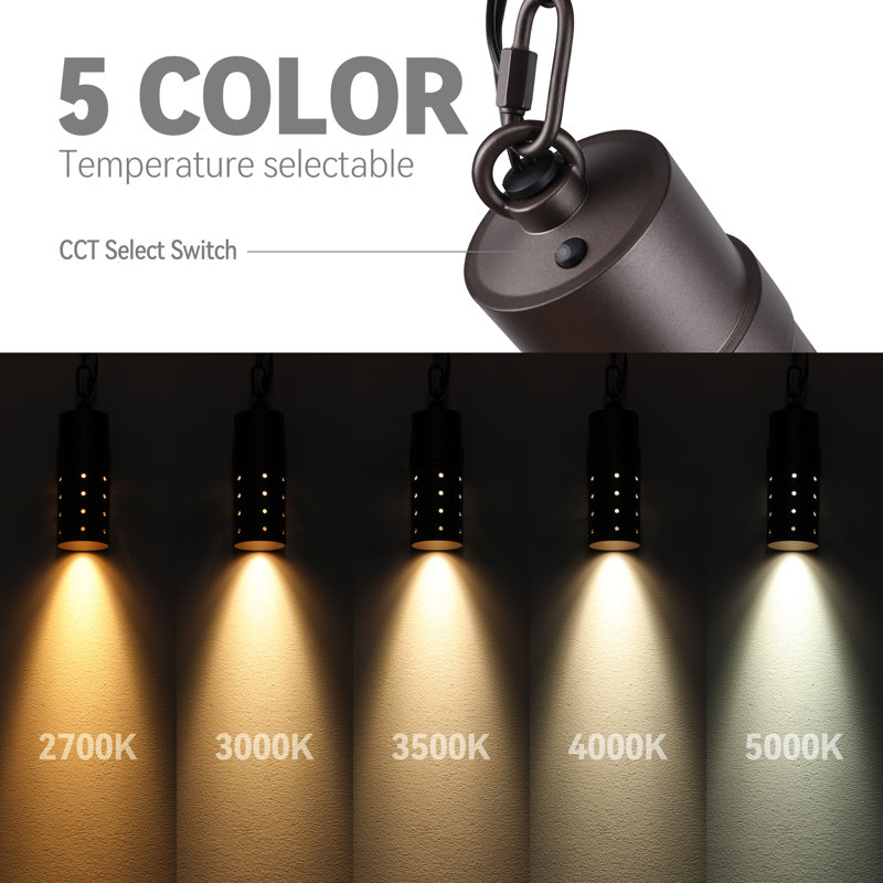 Naiel 4 - Light LED Outdoor Pendant, Oil Rubbed Bronze