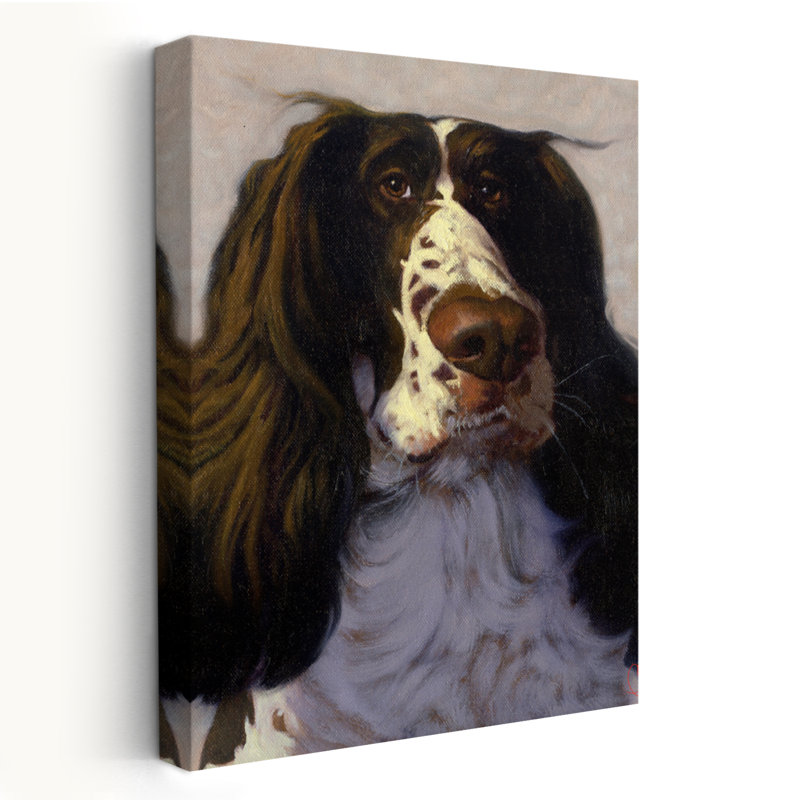 Springer - animaux, humour, chiens, humour, art, H 24 po x l 16 po