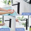 Robinet noir en acier inoxydable Waterfall Flow pour usage domestique, hôtelier et commercial