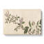 Flowers Of The Four Seasons Vol.2 by Shen Zhou - Wrapped Canvas Painting-55363725