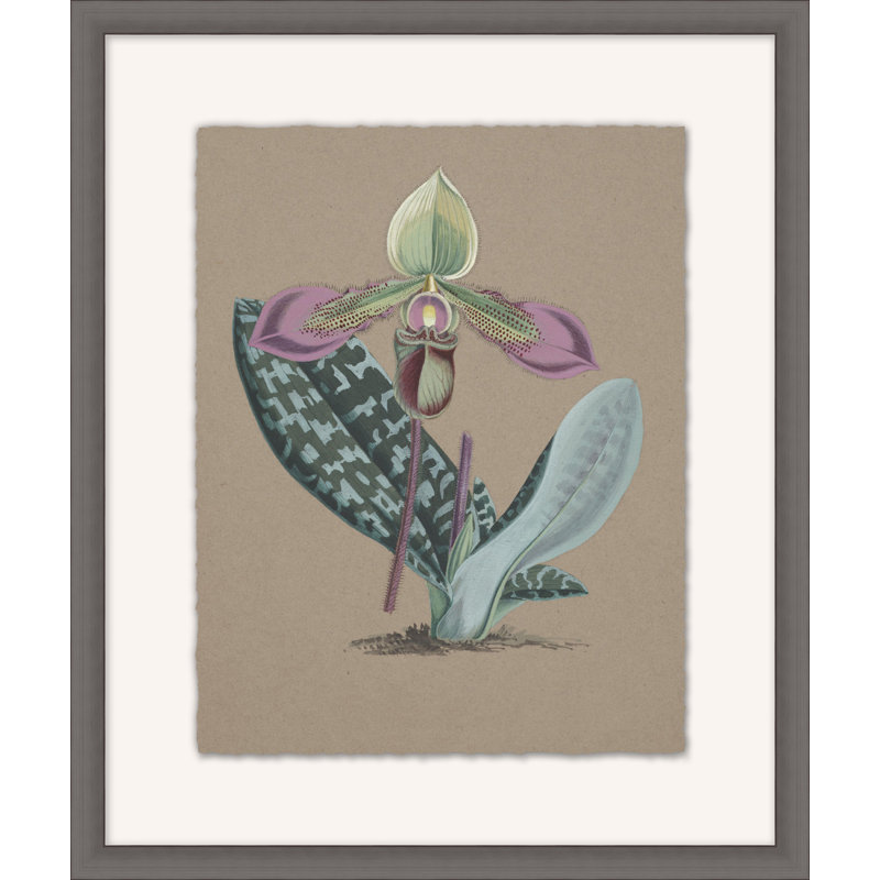Orchid Study 5 Painting