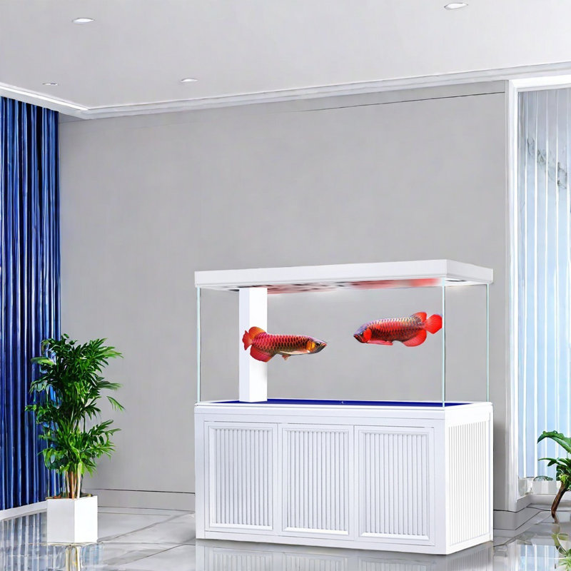 Réservoir d'aquarium rectangulaire simple et moderne Eco, 155 gallons (H 63 po x l 59 po x P 19,6 po), Blanc